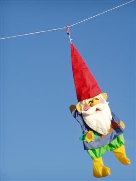 Gnome,,