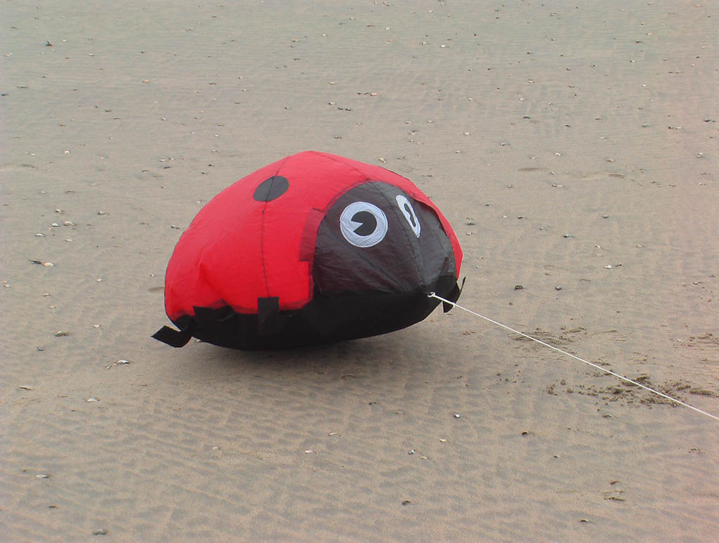 Ladybug,,Mirai: red; Icarex: black; Cordura o.i.d.  van een sporttas