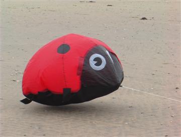 Ladybug,,Mirai: red; Icarex: black; Cordura o.i.d.  van een sporttas